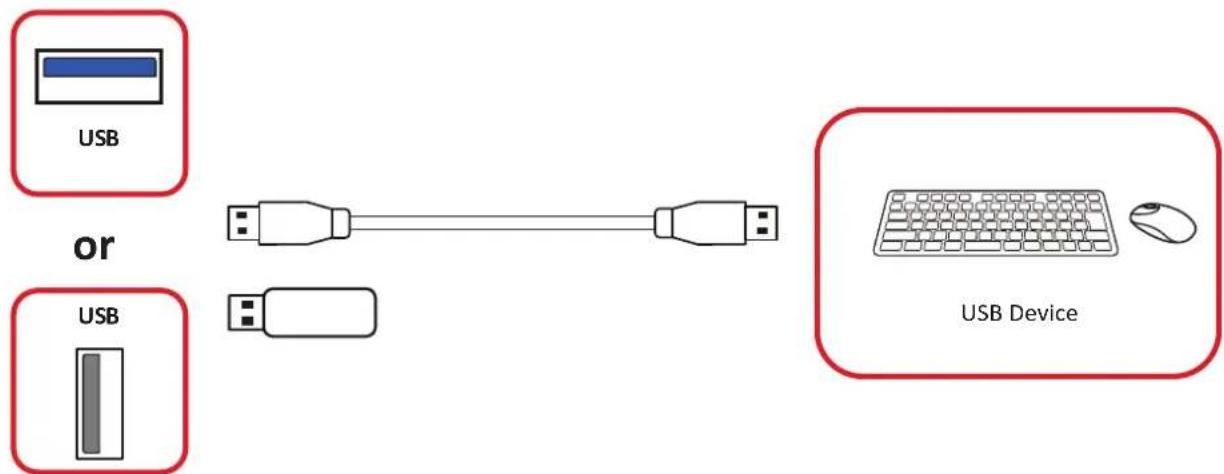 VIEWSONIC ViewBoard IFP5551 - Connexions USB et réseau - 1
