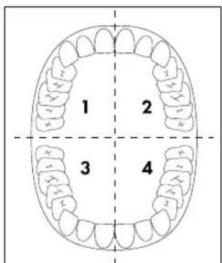 NEVADENT NSZB 3.7 B3 - NOTE - 1