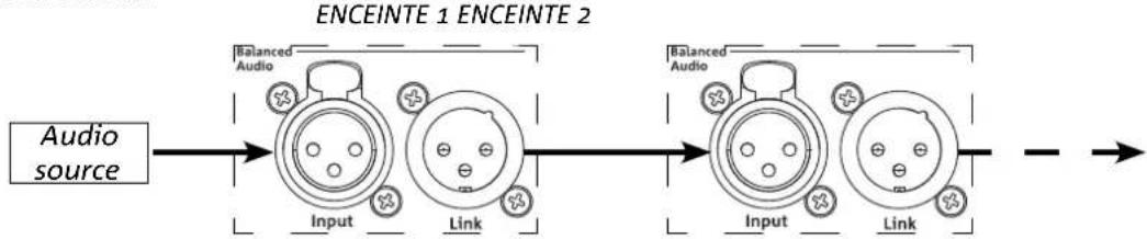 DB Technologies Ingenia IG5T - BRANCHEMENT ET RELANCE DU SIGNAL AUDIO - 1