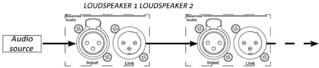 DB Technologies Ingenia IG5T - AUDIO SIGNAL CONNECTION AND LINK - 1