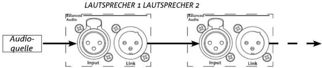 DB Technologies Ingenia IG5T - VERBINDUNG UND WEITERGABE DES AUDIOSIGNALS - 1