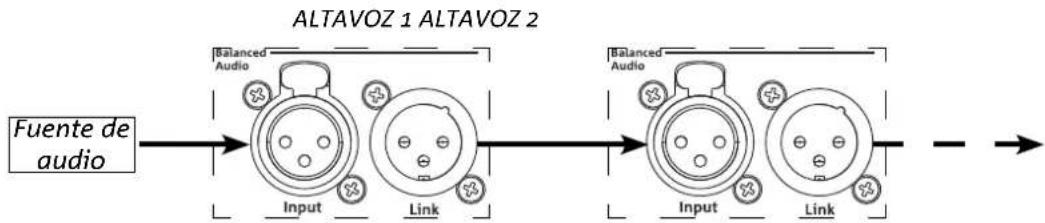 DB Technologies Ingenia IG5T - CONEXIÓN Y PUENTE DE LA SEÑAL DE AUDIO - 1