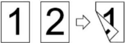 PANTUM BM230ADN - Fonctions d'impression - 1