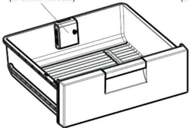 SHARP SJ-BA09RMXWC-EU - Maxi-fresh preserver (In some models) - 2