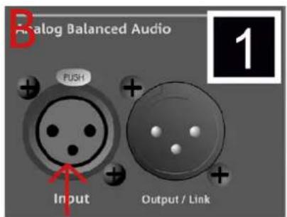 DB Technologies VIO L212 - INDICATIONS SUR L'ALIMENTATION ET LE COMPORTEMENT DU SYSTÈME LINE-ARRAY - 4