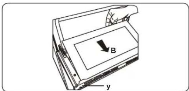 B y