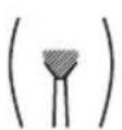 BRAUN Skin-i.expert Pro PL7147 - Hoe de schaamstreek moet worden behandeld (alleen vrouwen) - 1
