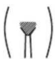 BRAUN Skin-i.expert Pro PL7249 - Comment traiter la zone pubienne (pour les femmes uniquement) - 1