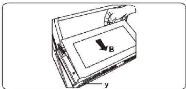 B y
