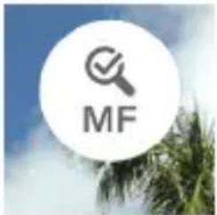SIGMA BF - MF 自动回看 - 1