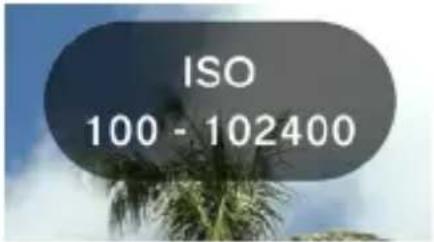 SIGMA BF - ISO 自动设置 - 1