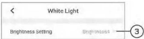 Lorex LNW16XF - Pour modifier la luminosité : - 1