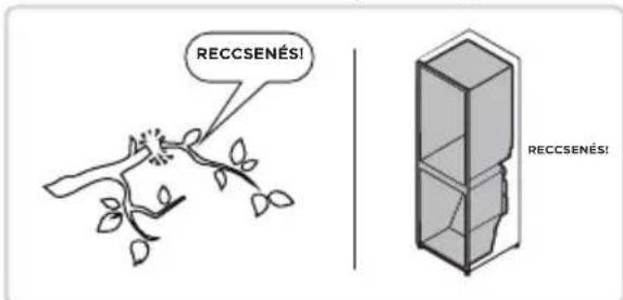 RECCSENÉS! RECCSENÉS!