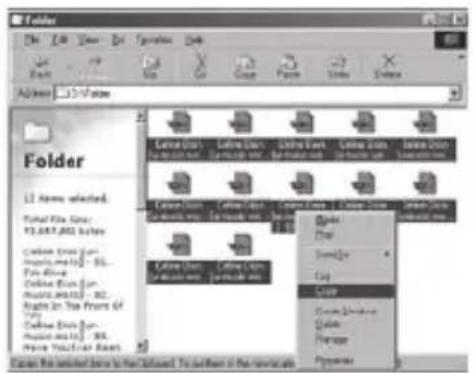 TrekStor I.Beat Organix - File non protetti da copia - 1