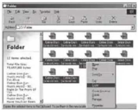 TrekStor i.Beat Organix FM - Files that are not copy-protected - 1