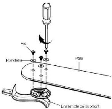 Vis Rondelle Pale Ensemble de support