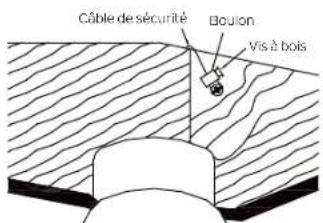 Câble de sécurité Boulon Vis à bois