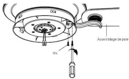 Assemblage de pale Vis