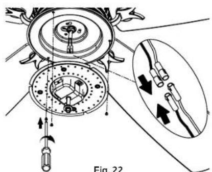 Fig. 22