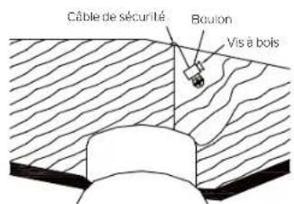 Câble de sécurité Bouton Vis à bois
