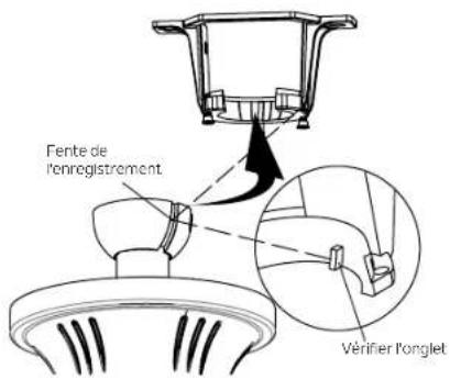 Fente de l'enregistrement. Vérifier l'onglet