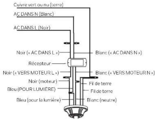Cuivre vert ou nu (terre) AC DANS N (Blanc) AC DANS L (Noir) Noir (« AC DANS L ») Récepteur Noir (« VERS MOTEUR L ») Noir (moteur) Bleu (POUR LUMIERE) Bleu (pour la lumière) Blanc (« AC DANS N ») Blanc (« VERS MOTEUR N ») Fil de terre Fil de terre Blanc (neutre)