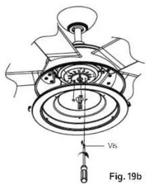 Vbs Fig. 19b