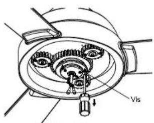 Vis