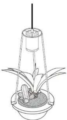 Line drawing of a plant setup with a conical canopy and leafy plants (no text or symbols)