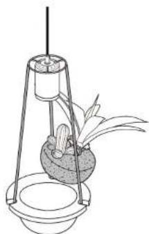 Line drawing of a plant setup with a vertical support structure and a pot, no text or symbols present