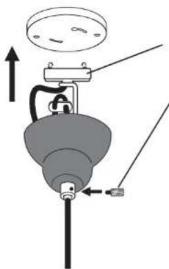 Diagram of a mechanical device with a bulb, lever, and sensor (no text or symbols)