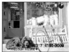 101-89 PREC.SUV VOLUME 7 4160:8089