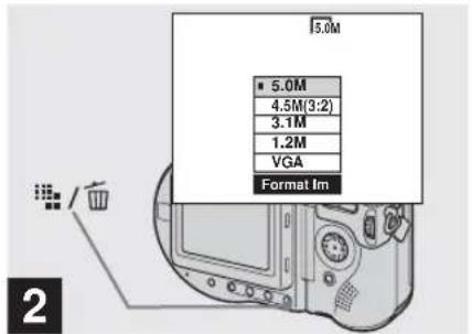 5.0M ■ 5.0M 4.5M(3:2) 3.1M 1.2M VGA Format lm 2