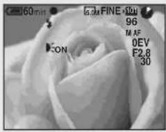 SONY MVC-CD500 - Enregistrement d'images avec l'AF holographique - 1