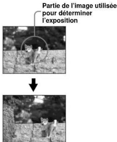 Partie de l'image utilisée pour déterminer l'exposition
