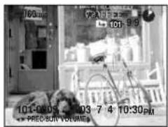 160mg VCA 1:30 101-9:9 101-9:05 2003-7 4 10:30PM PREC-SUB VOLUME