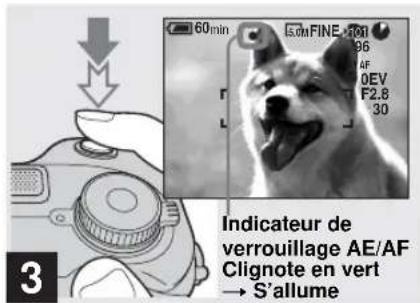 60min 5.0M FINE 100 96 AF 0EV F2,8 30 Indicateur de verrouillage AE/AF Clignote en vert → S'allume