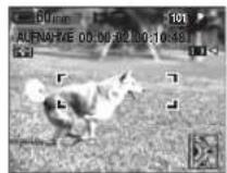 SONY MVC-CD500 - Drücken Sie den Auslöser ganz durch. - 1