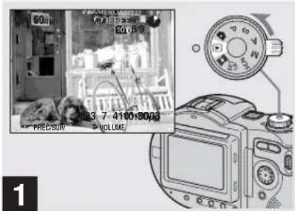 60 20.89 PRECISUR VOLUME 1