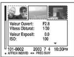 Valeur Ouvert: F2.8 Vitess Obturat: 1:30 Valeur Exposit: 0.0 ISO: 100 101-0002 2003 7 4 10:30PM AFFICH INDIVID PREC-SUIV