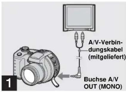 SONY MVC-CD500 - Bildwiedergabe auf einem Fernsehschirm - 1