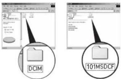 DCIM 101MSDCF