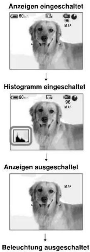 SONY MVC-CD500 - Bildschirmanzeigen während der Aufnahme - 2