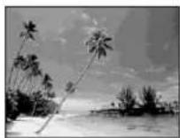 SONY MVC-CD500 - Mode plage - 1