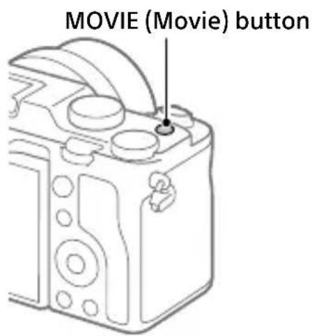 SONY ILCE-7C - Shooting movies - 1