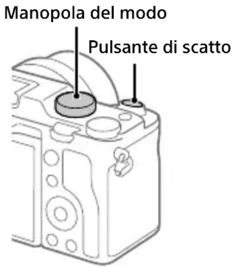 SONY ILCE-7C - Ripresa di fermi immagine - 1