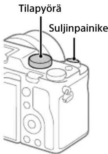 SONY ILCE-7C - Valokuvien kuvaaminen - 1
