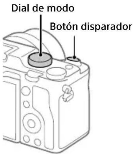SONY ILCE-7C - Toma de imágenes fijas - 1