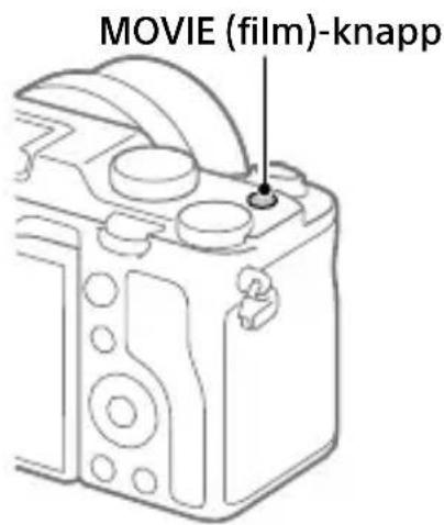 SONY ILCE-7C - Inspelning av filmer - 1