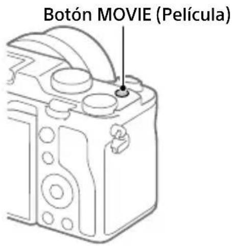 SONY ILCE-7C - Toma de películas - 1